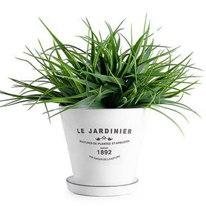 Jardinier 5" Planter - White